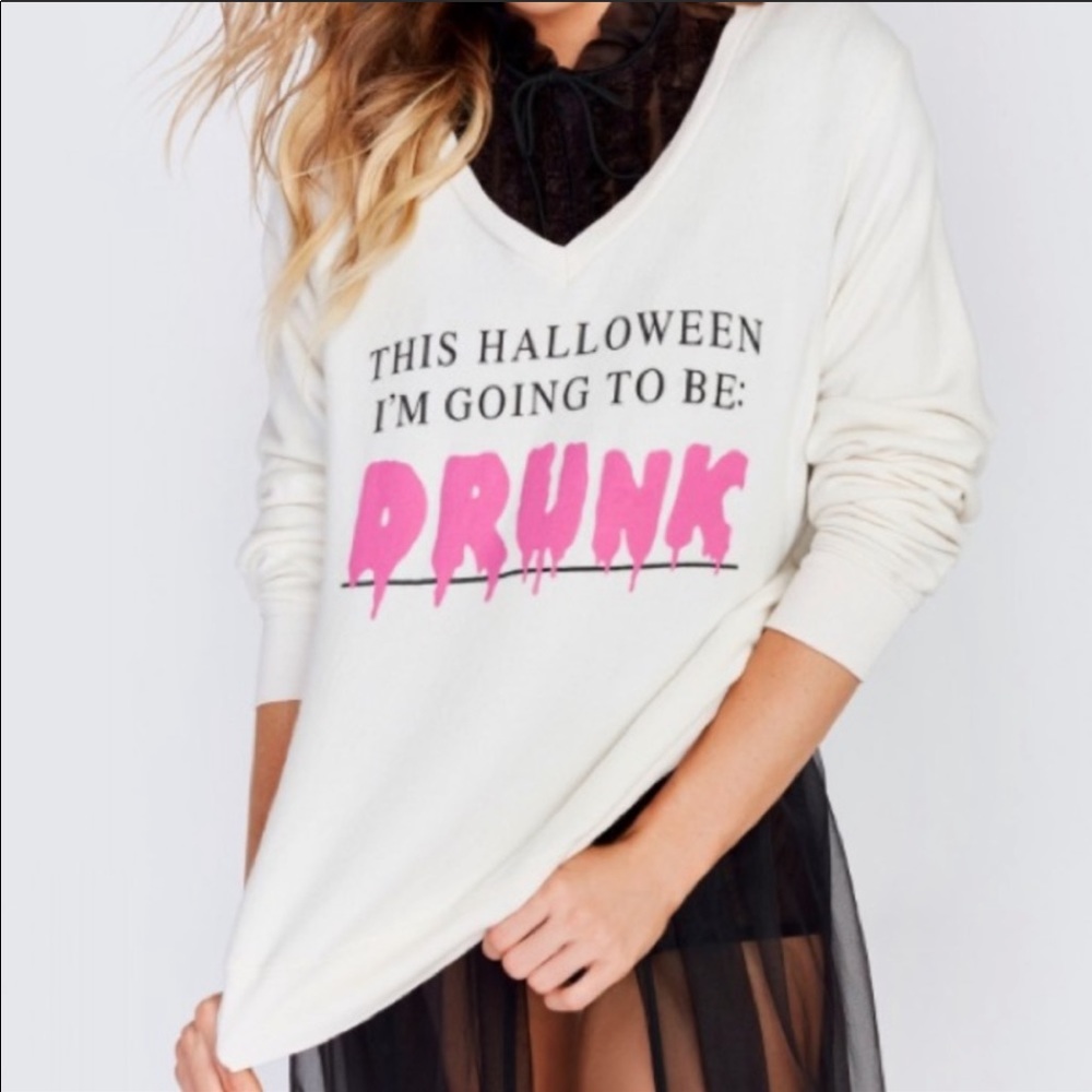 🔥WILDFOX🔥This Halloween I’m Going To Be Drunk V-Neck Knit Top Medium NWT - Picture 1 of 10